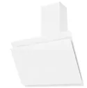 Пристенная вытяжка Exiteq EX-1126 WHITE
